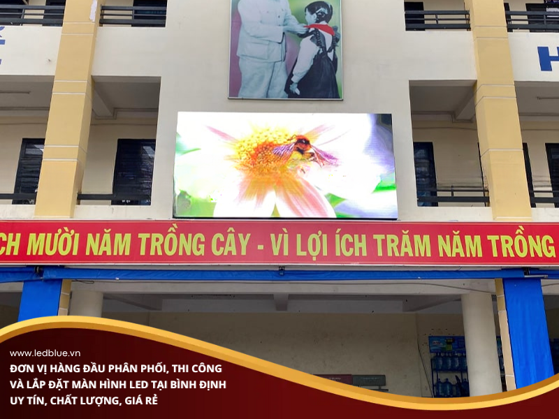 man-hinh-led-tai-binh-dinh-3